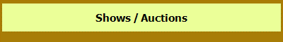 Shows / Auctions